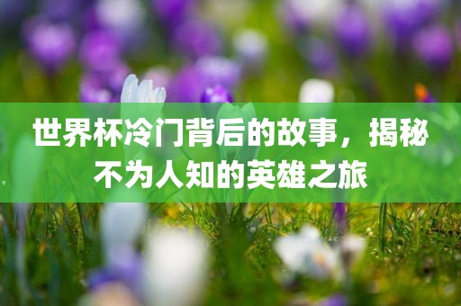 世界杯冷门背后的故事，揭秘不为人知的英雄之旅丹东日丰电子有限公司