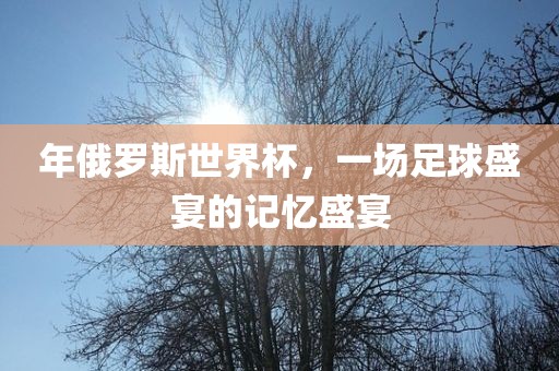 年俄罗斯世界杯，一场足球盛宴的记忆盛宴