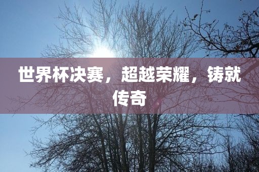 世界杯决赛，超越荣耀，铸就传奇