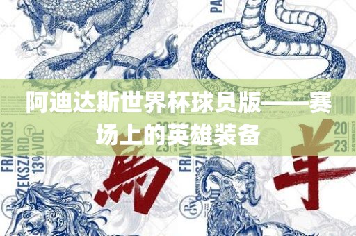 阿迪达斯世界杯球员版——赛场上的英雄装备