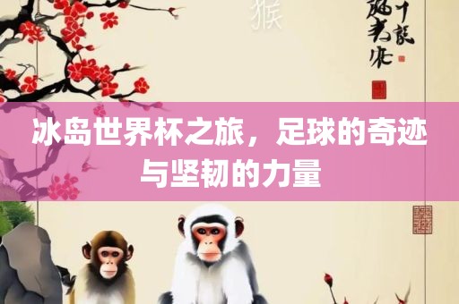 冰岛世界杯之旅，足球的奇迹与坚韧的力量