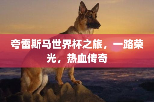 夸雷斯马世界杯之旅，一路荣光，热血传奇