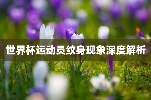 世界杯运动员纹身现象深度解析