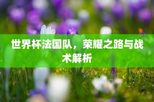 世界杯法国队，荣耀之路与战术解析