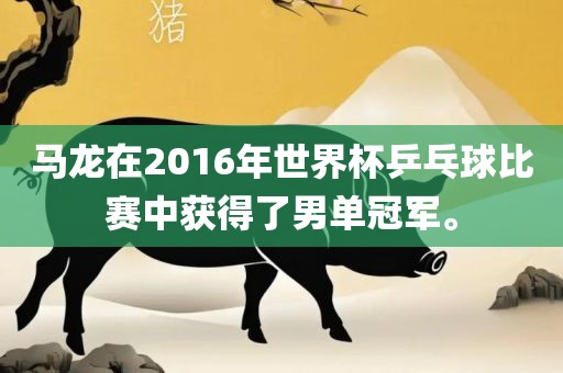 马龙在2016年世界杯乒乓球比赛中获得了男单冠军。