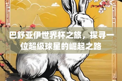 巴舒亚伊世界杯之旅，探寻一位超级球星的崛起之路