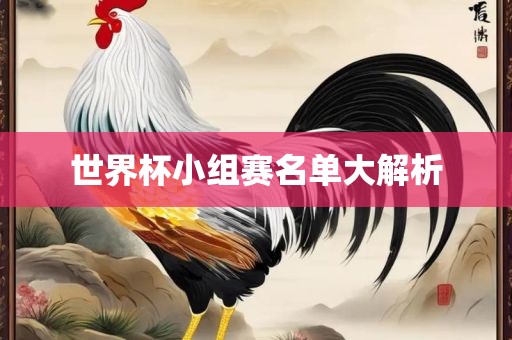 世界杯小组赛名单大解析