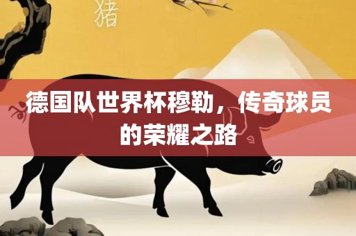 德国队世界杯穆勒，传奇球员的荣耀之路