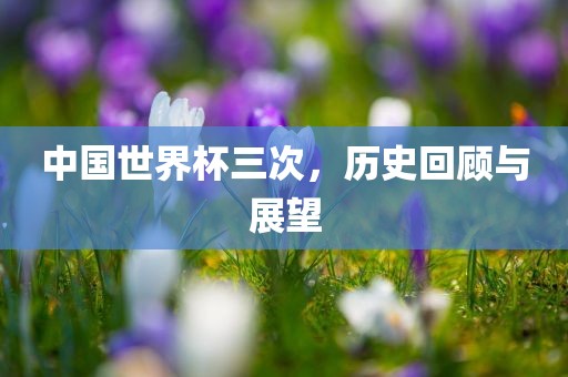 中国世界杯三次，历史回顾与展望