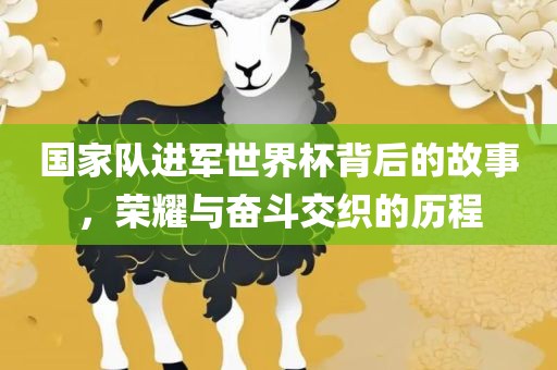 国家队进军世界杯背后的故事，荣耀与奋斗交织的历程