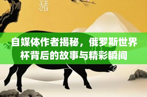 自媒体作者揭秘，俄罗斯世界杯背后的故事与精彩瞬间