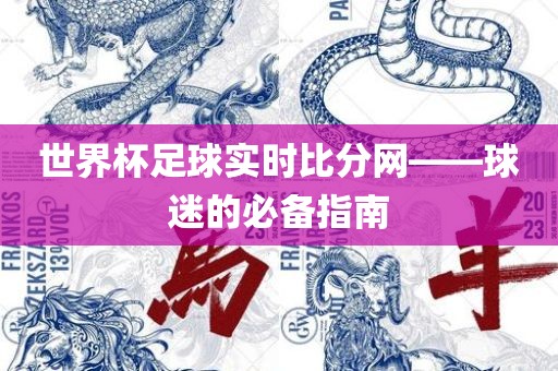 世界杯足球实时比分网——球迷的必备指南