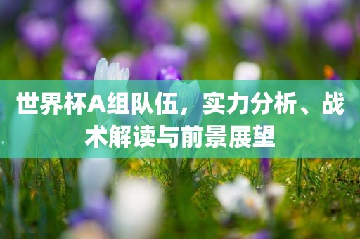 世界杯A组队伍，实力分析、战术解读与前景展望