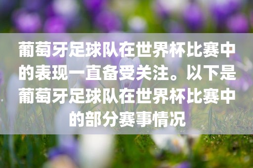葡萄牙足球队在世界杯比赛中的表现一直备受关注。以下是葡萄牙足球队在世界杯比赛中的部分赛事情况