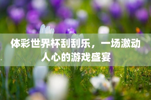 体彩世界杯刮刮乐，一场激动人心的游戏盛宴