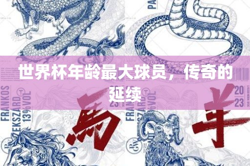 世界杯年龄最大球员，传奇的延续
