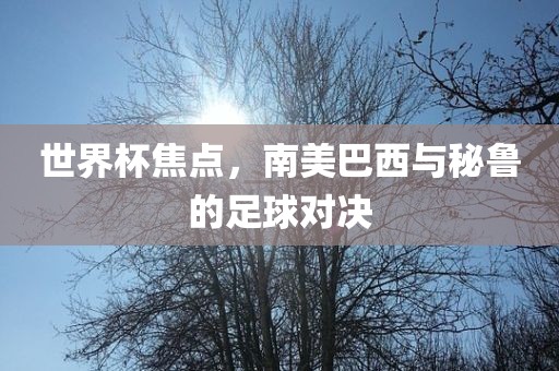 世界杯焦点，南美巴西与秘鲁的足球对决