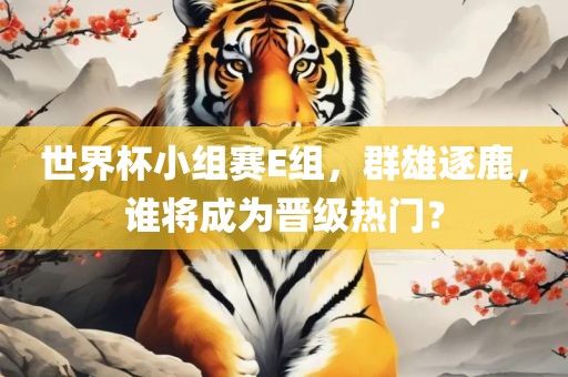 世界杯小组赛E组，群雄逐鹿，谁将成为晋级热门？
