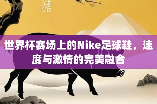 世界杯赛场上的Nike足球鞋，速度与激情的完美融合
