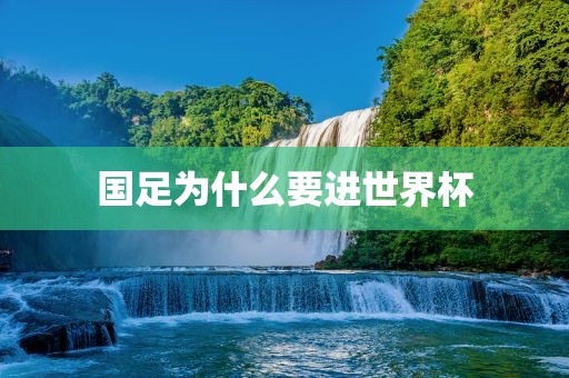 国足为什么要进世界杯