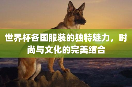 世界杯各国服装的独特魅力，时尚与文化的完美结合