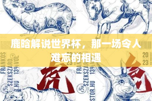 鹿晗解说世界杯，那一场令人难忘的相遇