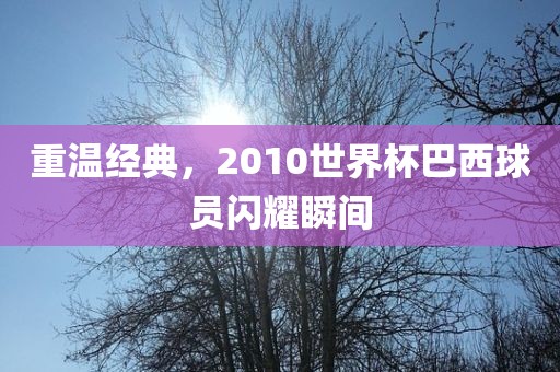 重温经典，2010世界杯巴西球员闪耀瞬间