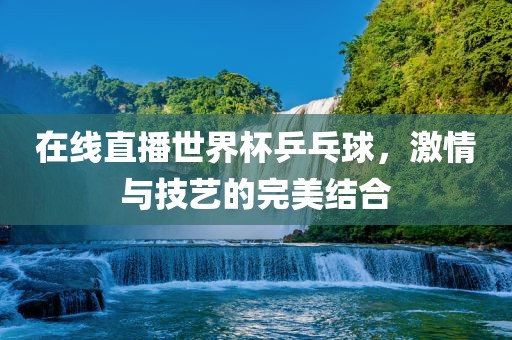 在线直播世界杯乒乓球，激情与技艺的完美结合