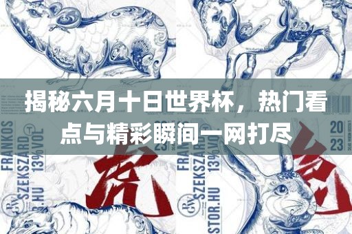 揭秘六月十日世界杯，热门看点与精彩瞬间一网打尽
