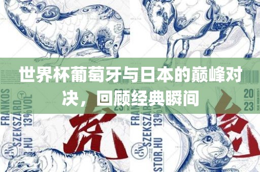世界杯葡萄牙与日本的巅峰对决，回顾经典瞬间