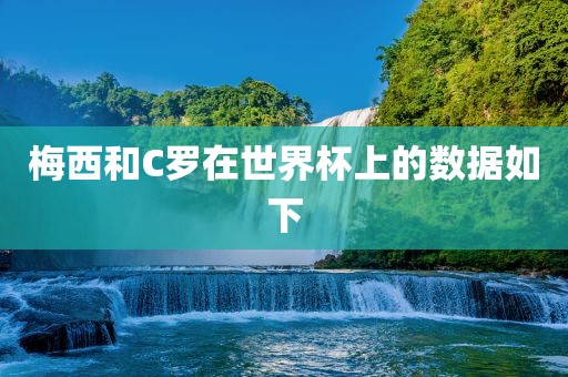 梅西和C罗在世界杯上的数据如下