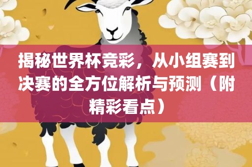 揭秘世界杯竞彩，从小组赛到决赛的全方位解析与预测（附精彩看点）