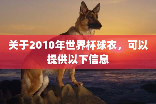关于2010年世界杯球衣，可以提供以下信息
