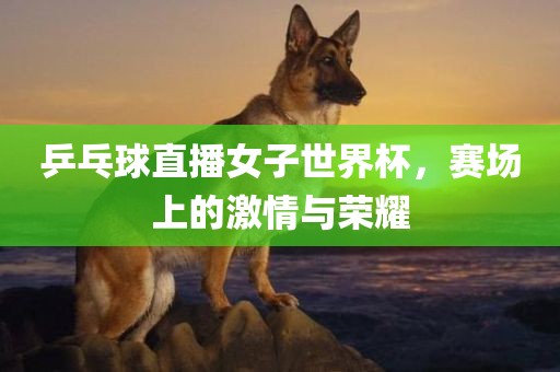 乒乓球直播女子世界杯，赛场上的激情与荣耀