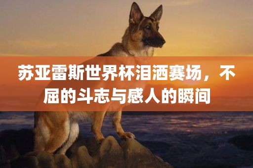 苏亚雷斯世界杯泪洒赛场，不屈的斗志与感人的瞬间
