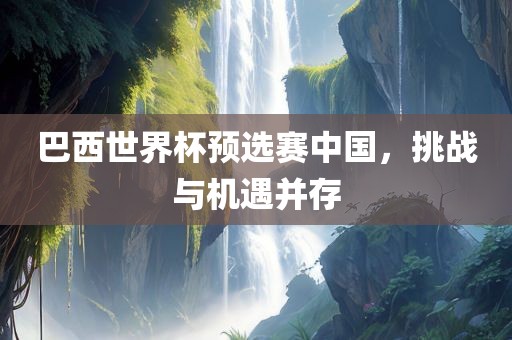 巴西世界杯预选赛中国，挑战与机遇并存