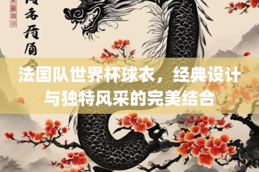 法国队世界杯球衣，经典设计与独特风采的完美结合