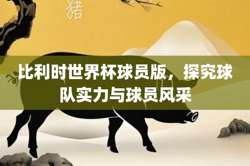 比利时世界杯球员版，探究球队实力与球员风采