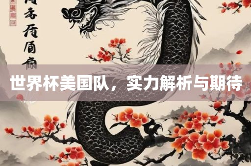 世界杯美国队，实力解析与期待丹东日丰电子有限公司
