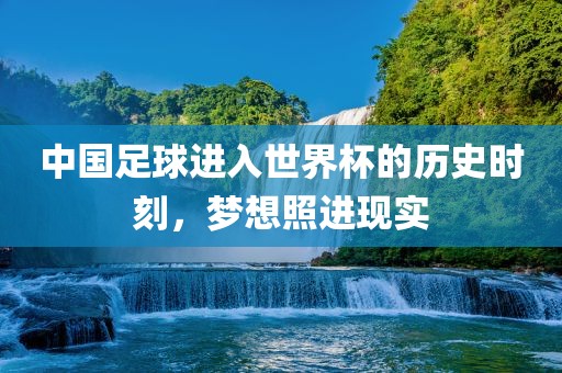 中国足球进入世界杯的历史时刻，梦想照进现实