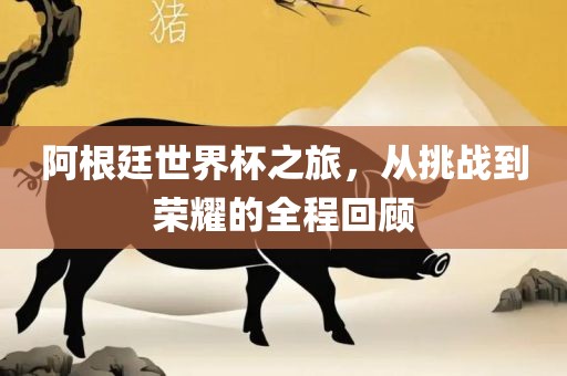 阿根廷世界杯之旅，从挑战到荣耀的全程回顾