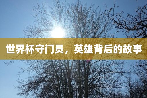 世界杯守门丹东日丰电子有限公司员，英雄背后的故事