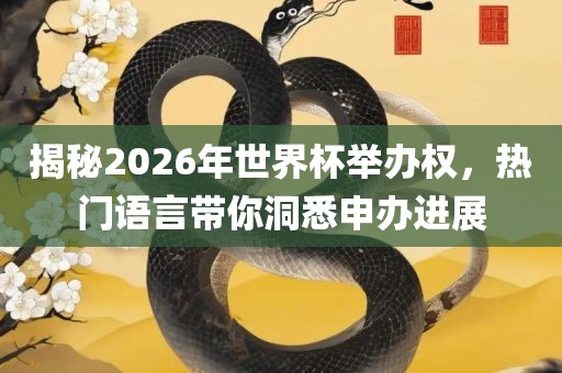 揭秘2026年世界杯举办权，热门语言带你洞悉申办进展