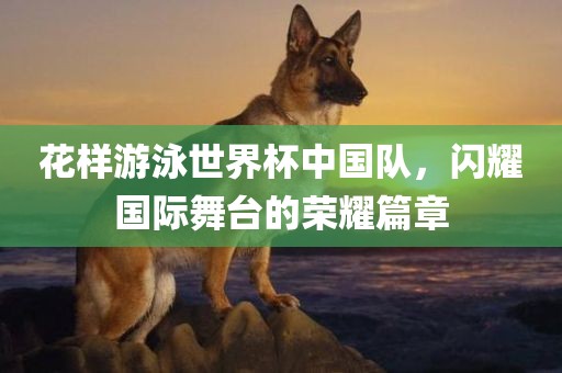 花样游泳世界杯中国队，闪耀国际舞台的荣耀篇章
