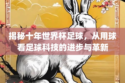 揭秘十年世界杯足球，从用球看足球科技的进步与革新