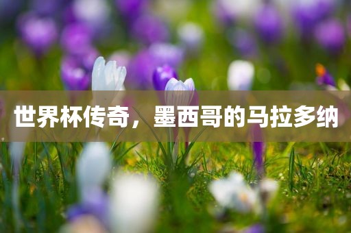 世界杯传奇，墨西哥的马拉多纳