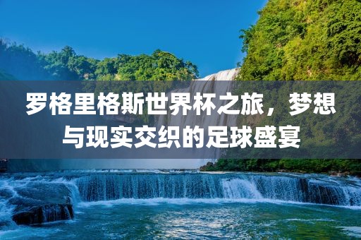 罗格里格斯世界杯之旅，梦想与现实交织的足球盛宴