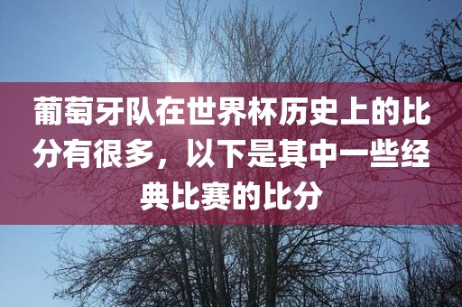 葡萄牙队在世界杯历史上的比分有很多，以下是其中一些经典比赛的比分