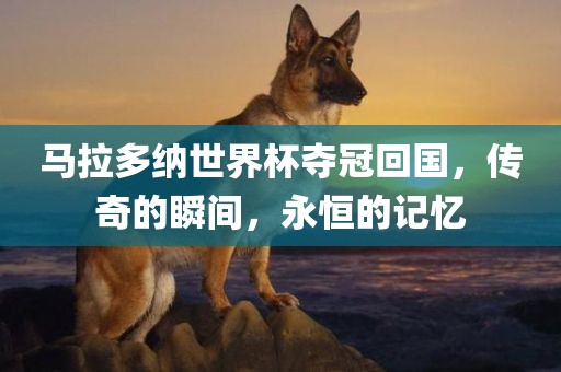 马拉多纳世界杯夺冠回国，传奇的瞬间，永恒的记忆