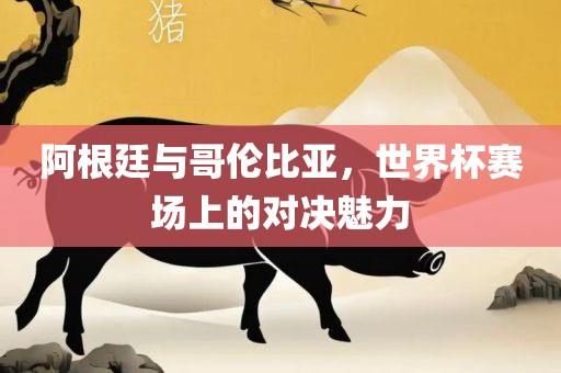 阿根廷与哥伦比亚，世界杯赛场上的对决魅力